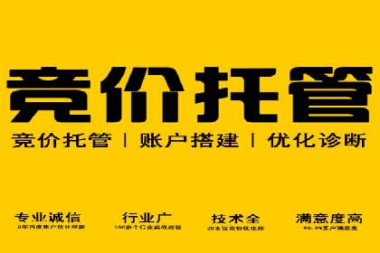 行业领先企业的百度广告推广经验分享